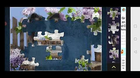 Magic Jigsaw Puzzle Game /Cute Papillon Dog