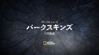 バークスキンズ - 予告編 (ティーザー) | #バークスキンズ