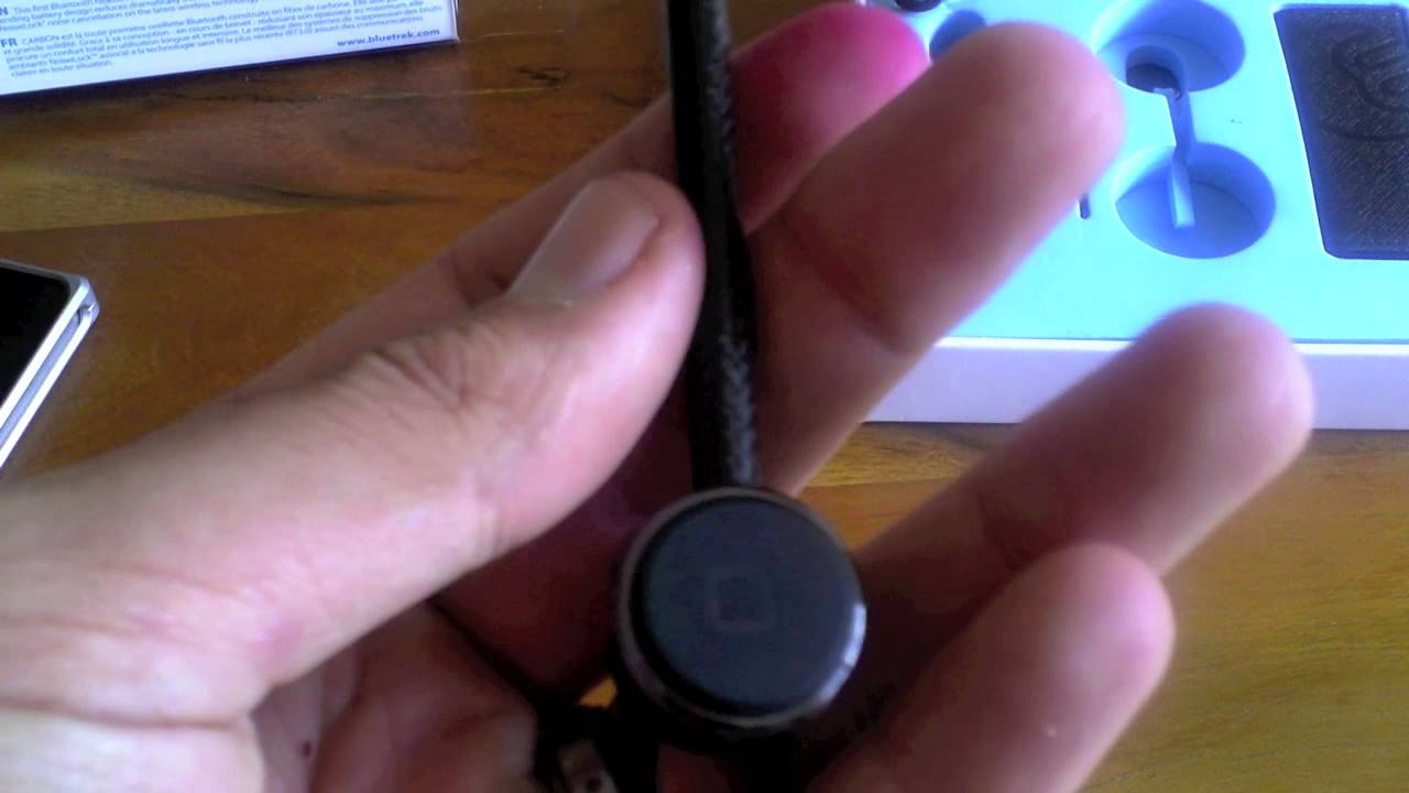 Bluetrek carbon инструкция Bluetrek carbon инструкция