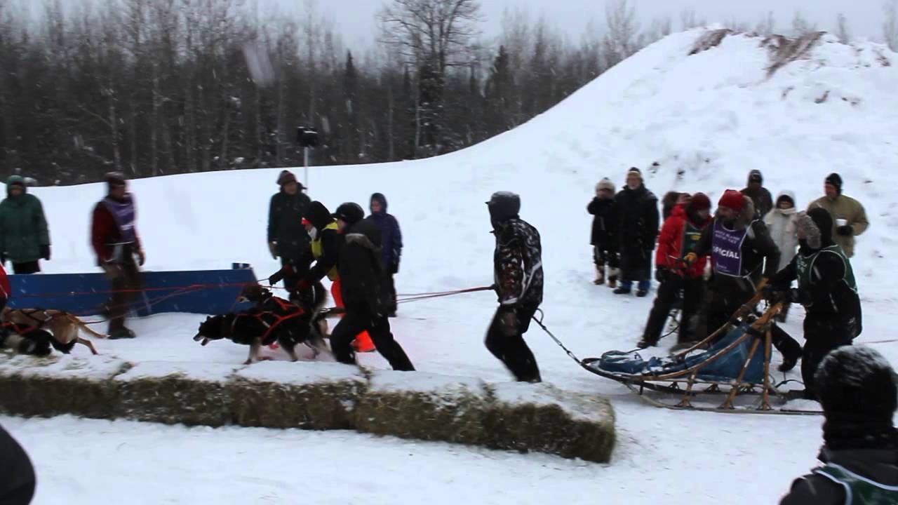 Apostle Islands Sled Dog Race in Bayfield, Wisconsin YouTube