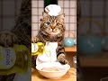 Chubby Orange Cat Cooks SAKURA-MOCHI in the Cute Way ;) #CookingCat #CatLovers #soap #ASMR