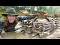 Primitive MUDCRAB TRAP Survival Build AUSTRALIA! Catch & Cook (No Food No Water)