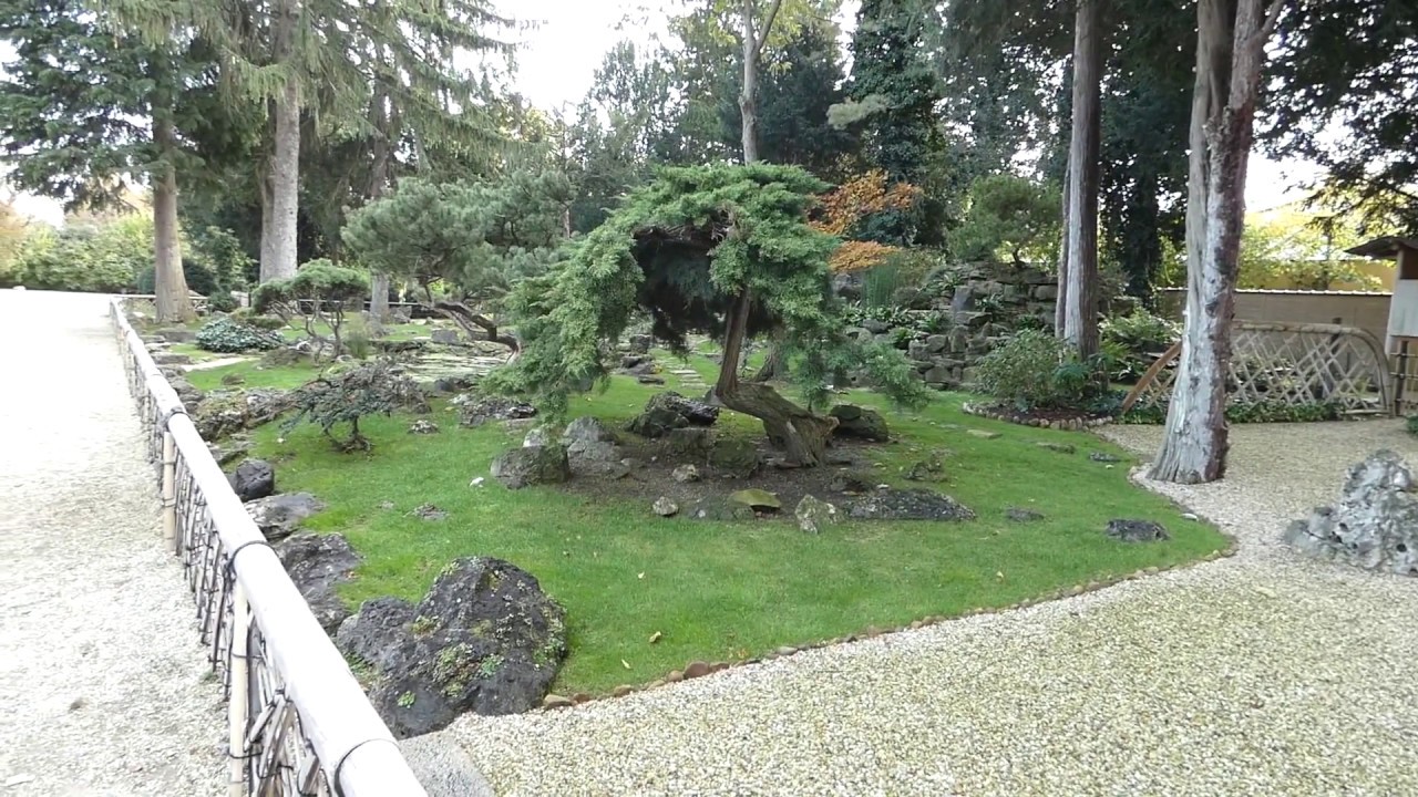 Japanischer Garten In Schonbrunn Tee Garten Youtube
