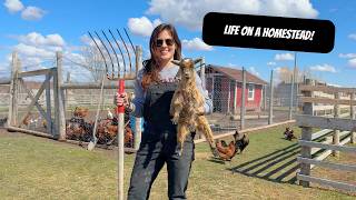 Life On A Homestead