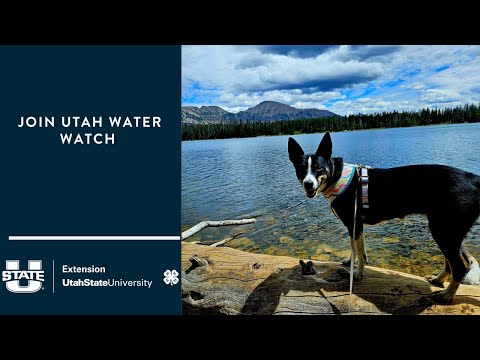Join Utah Water Watch