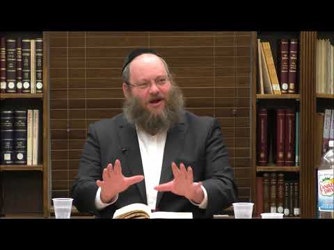 Tanya Review and Overview Chapters 29-34 - Rabbi Naftali Silberberg