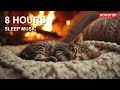 🐱 8 Hours of Cat Music for Vet Anxiety 🎵💖 Stress Relief Before Vet Visit 🎵 Calm in 5 Minutes 💖