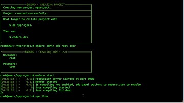 How To install Enduro Enduro.js with Forever Nginx On Ubuntu 18.04 LTS