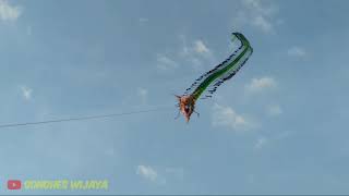 Download Lagu suro wijoyo MP3