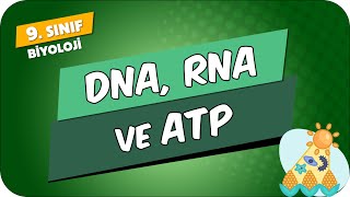 Dna, Rna Ve Atp 9.Sınıf Biyoloji