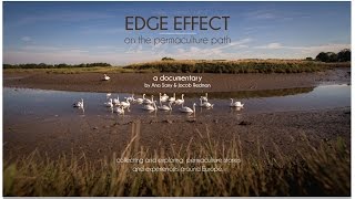 EDGE EFFECT crowdfunding