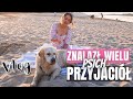 Pies MA LEPSZĄ DIETĘ NIŻ JA | Jedziemy na plażę!