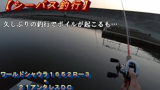シーバス釣行 ボラの稚魚が水面を覆い ボイルが起こるも Youtube