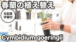 園芸japan Youtube