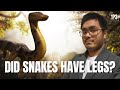 Does the Bible Teach Snakes Originally Had Legs? w/ Luis Dizon