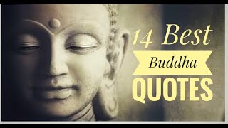 14 Awesome Buddha Quotes | Wisdom Quotes on Life | Gautama Buddha Quotes | Life and Relationship by Maze Winners 1,428 views 3 years ago 2 minutes, 16 seconds