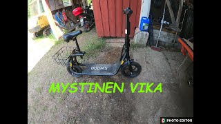 MYSTINEN VIKA