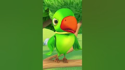 "Main tota hare rang ka"  Attractive & Viral Titles (20 Options):#GreenParrot #TalkingParrot#shorts