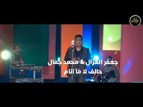 جعفر الغزال و محمد جمال حالف لا ما انام