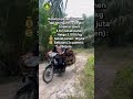 Katanya petani sawit susah dapat cuan? Emang iya?🌴