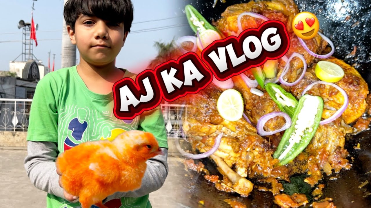 Aj ka din kaisa guzra | Sialkot vlogger | Aj ka din kaisay guzra | little chicken kids | 4k vlogs