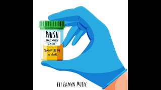 Sample in a Jar. Phish backing Track.