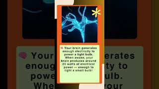 Fun Fact | Trivia game | English Quiz #triviatricks #mindbendingquiz  #english #generalknowledgequiz