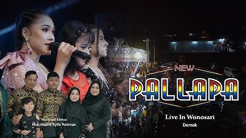 Menyulam Kain Yang Rapuh  //Anisa Rahma  //New Pallapa Live Wonosari-Demak 4 Mei 2023