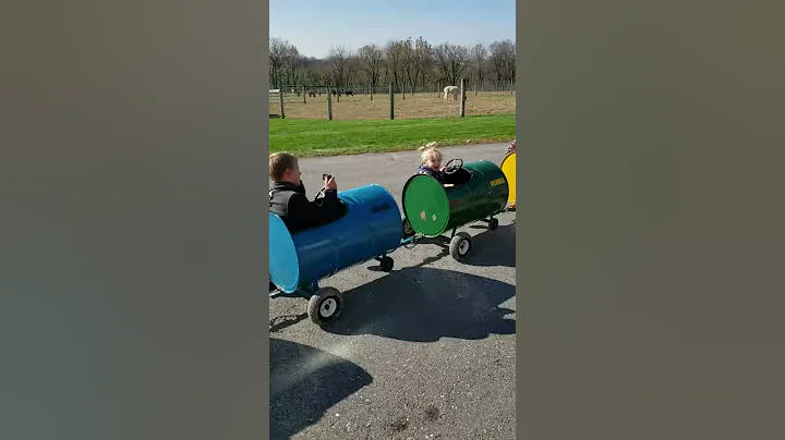 Aivy on the alpaca farm train