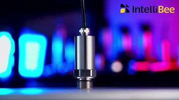 Stainless Steel High Precision Diffused Silicon Pressure Transmitter and Sensor - Intellibee Sensor