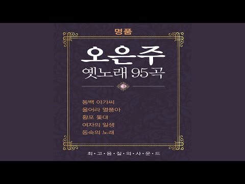 들국화