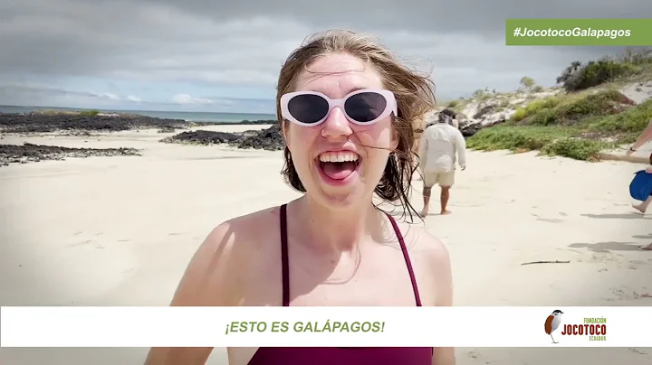 The exciting experience of volunteering in the Galapagos Islands with Fundación Jocotoco