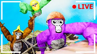 Only Up + Chained Together in Gorilla Tag! ft. CJVR/Rakzz Guide