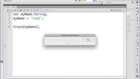 60. Flash & AS3 - Working with variables