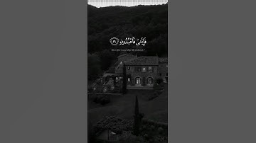 القارئ عبدالرحمن مسعد قرآن كريم #quran #قرآن #قران_كريم #اكتب_شي_تؤجر_عليه #islam #islamic