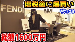 あえて増税後に経費で爆買いして経済回してみたドッキリ【ラファエル】