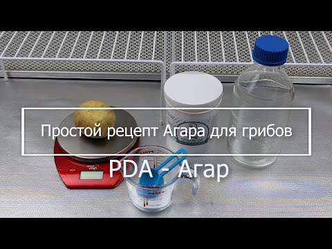 Как сварить картофельный агар для мицелия ? PDA - рецепт