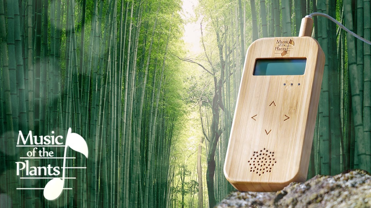 Bamboo M Music Of The Plants Device Music Of The Plants