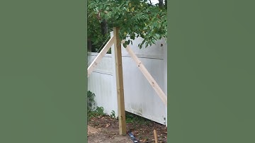 Dennis K Fence Project 2024