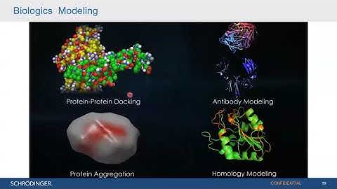 Dr. Prajwal Nandekar giving an overview of Schrodinger Platform