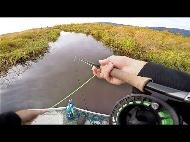 Creek Fish Trapping Battle! (Which Traps Catches the Most Fish