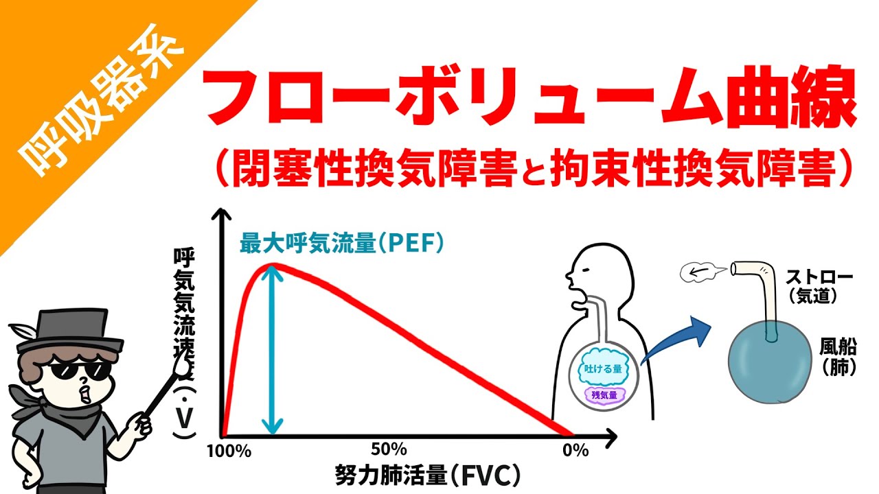 フローボリューム曲線（呼吸機能検査）
