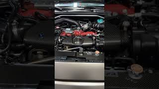 Oil leak? Never heard of her 😎 IG: @sal_stiproject