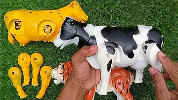 Merakit Mainan Sapi, Sapi belang, Sapi moo, Harimau, Menemukan Sapi Lucu Warna Warni #animals #sapi