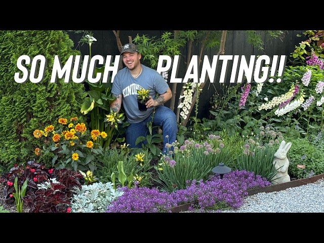 I Started Adding Orange To The Garden… 😳 - YouTube