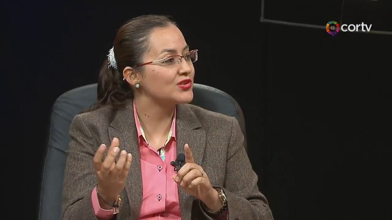 LA JUSTICIA A TU ALCANCE JUICIO REIVINDICATORIO