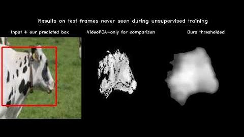 cow 3 - unsupervised object discovery