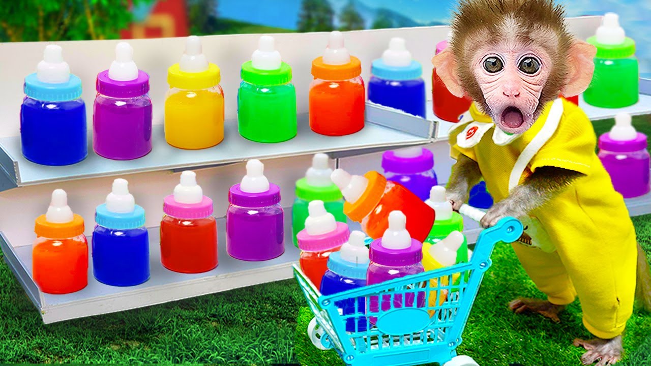 maymun videoları Bon Bon monkey