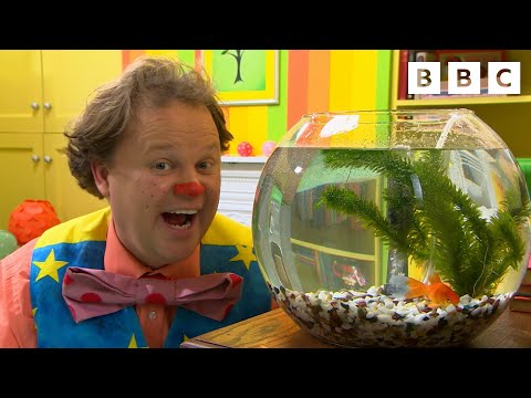 Mr Tumble Loves Animals! | CBeebies