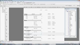 Crystal Reports Tips and Tricks 5/12 Part 2